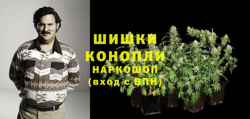 МАРИХУАНА LSD WEED  закладка  Камешково 